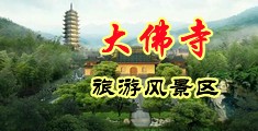 搜索操逼大片免费看的中国浙江-新昌大佛寺旅游风景区
